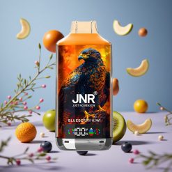 JNR Falcon X 18000 Puffs (24ml & Type-C Hurtigopladning) Blåbær Kiwi