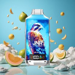 JNR Falcon X 18000 Puffs 24ml & Type-C Hurtigopladning Mr. Blå