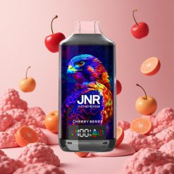 JNR Falcon X 18000 Puffs 750mAh & 24ml Cherry Bær