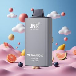 JNR Mega Box 25000 Puffs & 30ml E-væske Engangs Vape Blåbær Tygggummi