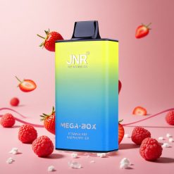 JNR Mega Box 25000 Puffs & 30ml E-væske Engangs Vape Jordbær Hindbær Is